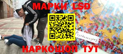 крисы Будённовск