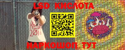 крисы Будённовск