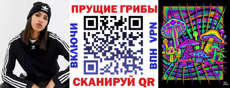 Галлюциногенные грибы мицелий  Можайск 