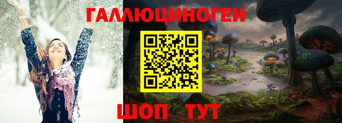 Галлюциногенные грибы GOLDEN TEACHER Можайск