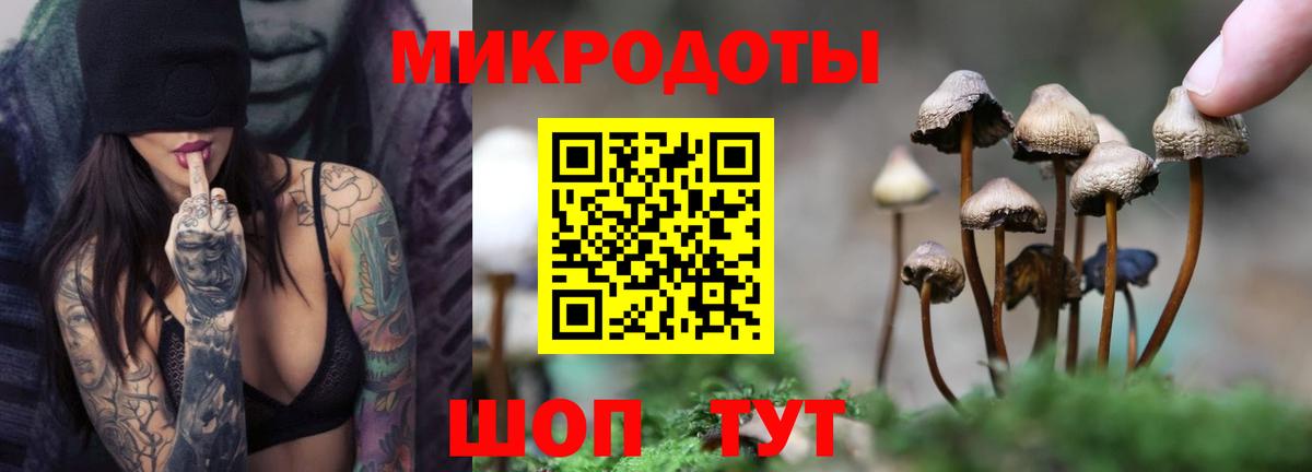 Можайск  купить  цена  Вход с VPN  Псилоцибиновые грибы Magic Shrooms  Псилоцибиновые грибы MAGIC MUSHROOMS 